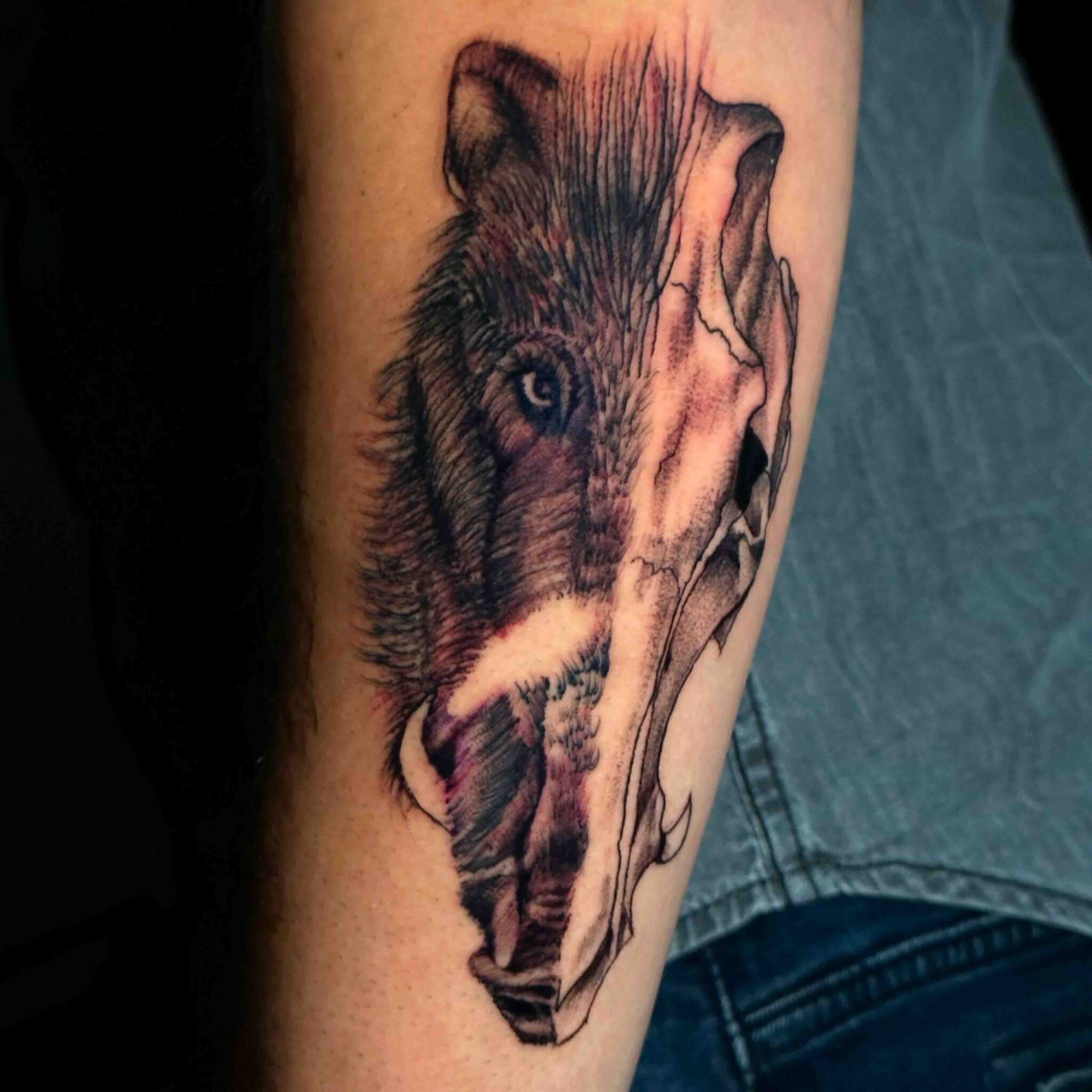 Tatuaggio semi realistico con parti fineline di una testa di cinghiale metà viva e metà teschio